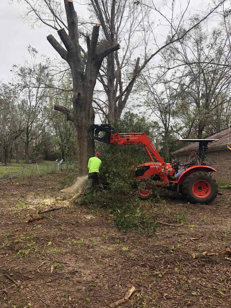 Stump Grinding