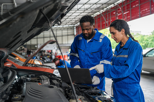 Team diagnostics & repair planning — Maitland