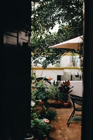 Formal garden with fountain