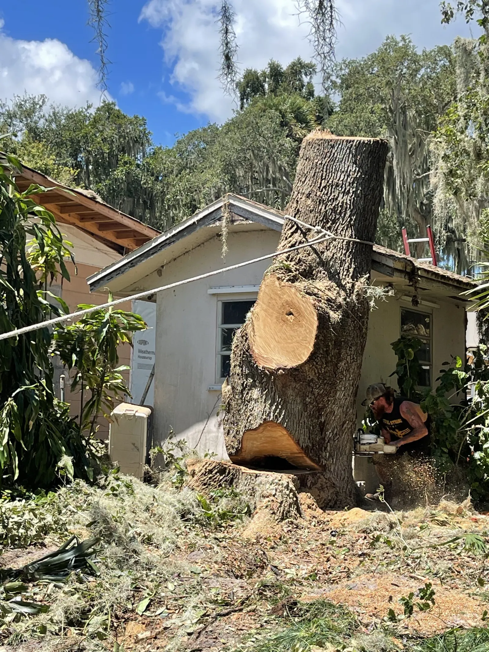 Tree & Debris Removal