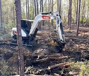 Land Clearing