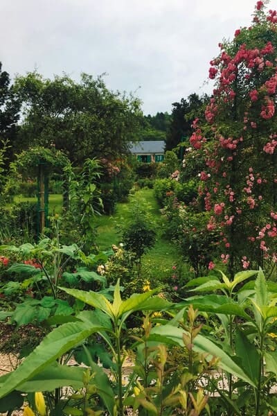 Garden pathway