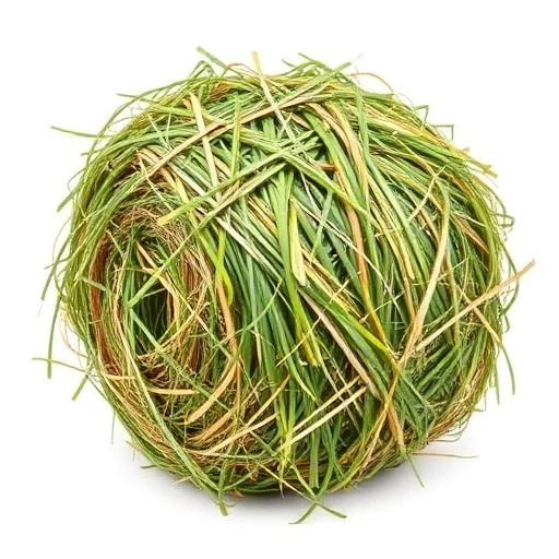 Timothy Hay Bundle